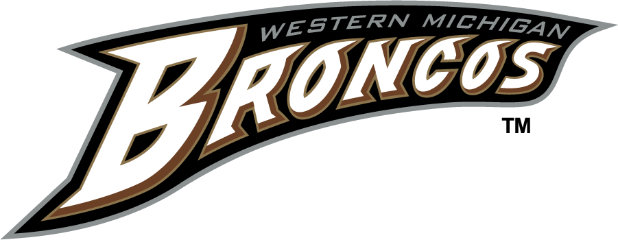 Western Michigan Broncos 1998-2016 Wordmark Logo v2 DIY iron on transfer (heat transfer)